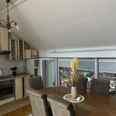 Stan Na Dan Mitric Lejlighed *